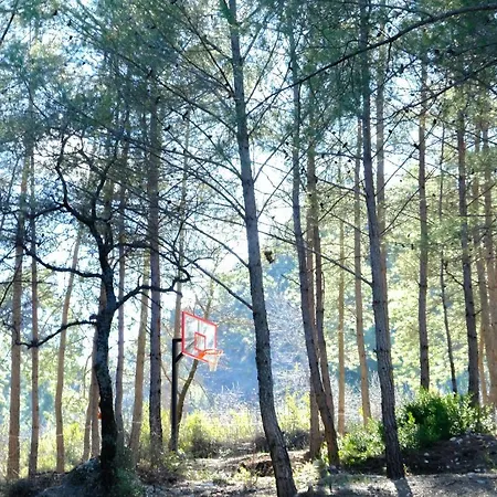 Sens Bungalows & Tents *
